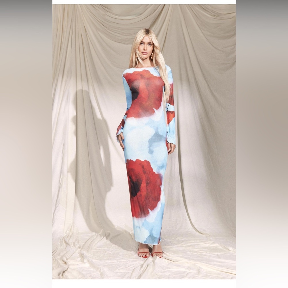Boohoo - Sheer Scoop Back Floral Maxi Dress